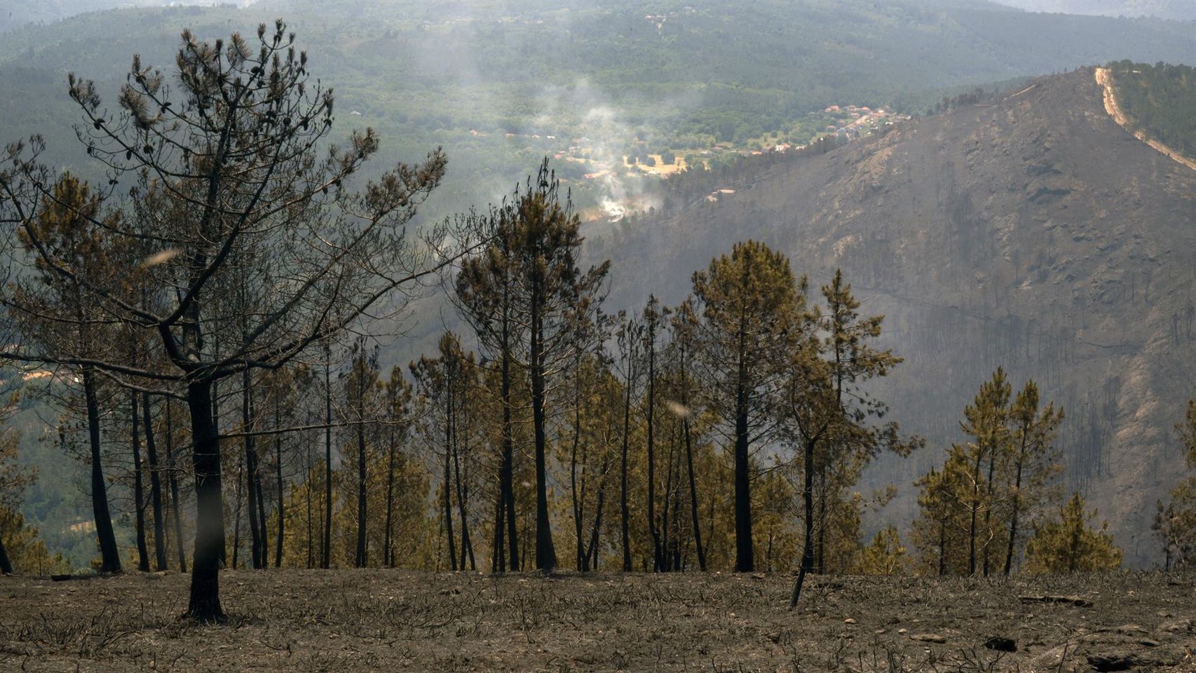 Extinguido el incendio de Boborás (Ourense) tras calcinar casi 280 hectáreas