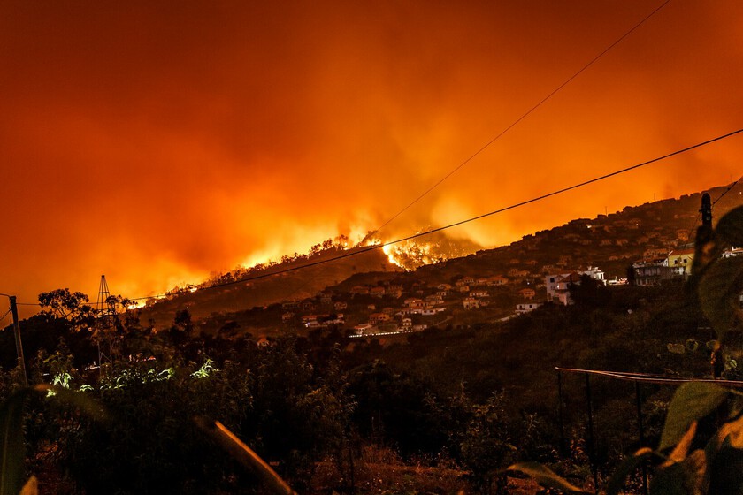 Un experto forestal tiene claro el problema de España: "Hemos acumulado combustible y aumentado la probabilidad de incendios extremos"