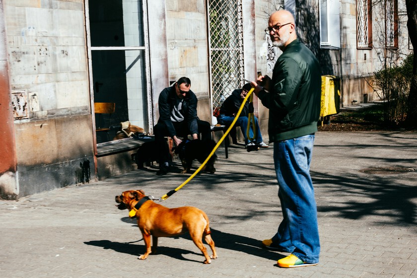 Si la pregunta es si tus vecinos pueden prohibirte tener perro, la respuesta no está en la Ley de Bienestar Animal: está en Vigo