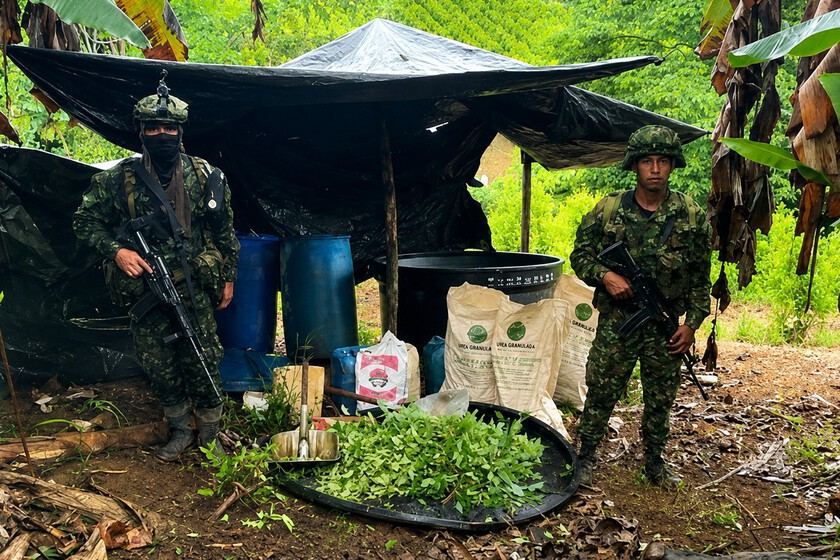 En 2016 Colombia firmó un acuerdo de paz histórico. Luego la superficie dedicada al cultivo de cocaína se disparó