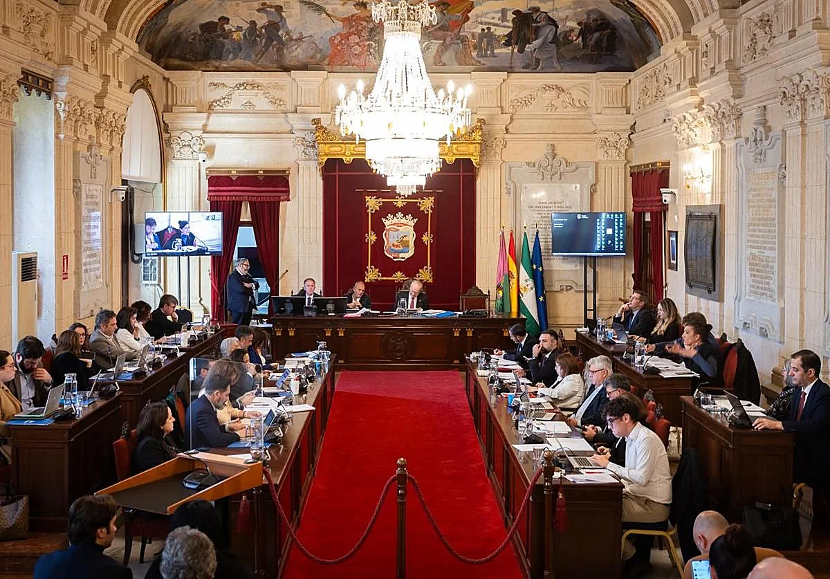 El pleno de Málaga aprueba que haya una tasa turística en Málaga capital ya sea de la Junta o del Gobierno