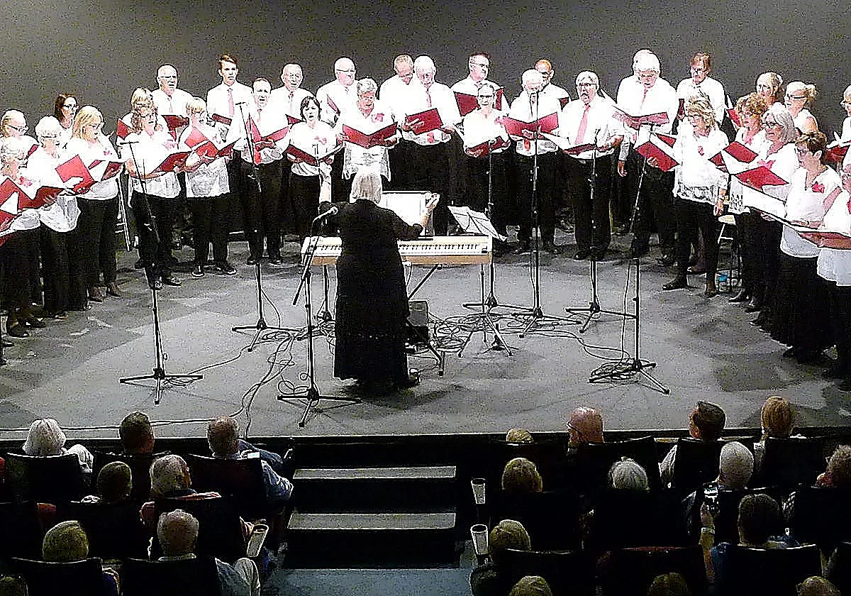 Amateur choir offers performance in support of children’s educational opportunities in The Gambia