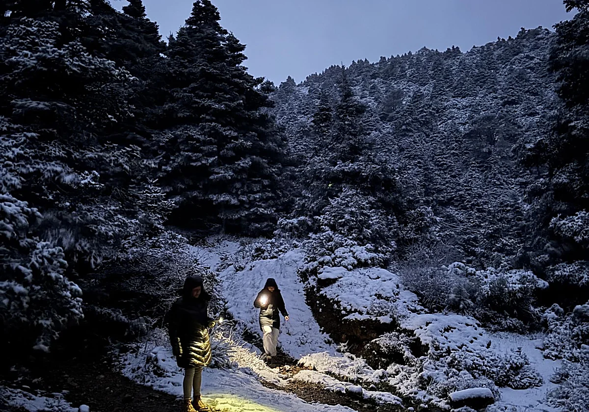 White Christmas? Winter storms leave snow on Malaga's mountains and temperatures plummet along the Costa, in pictures