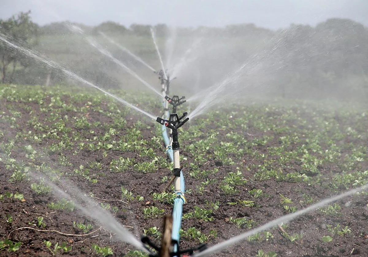 El ambicioso plan de Málaga contra la sequía: quiere reutilizar toda el agua de la depuradora