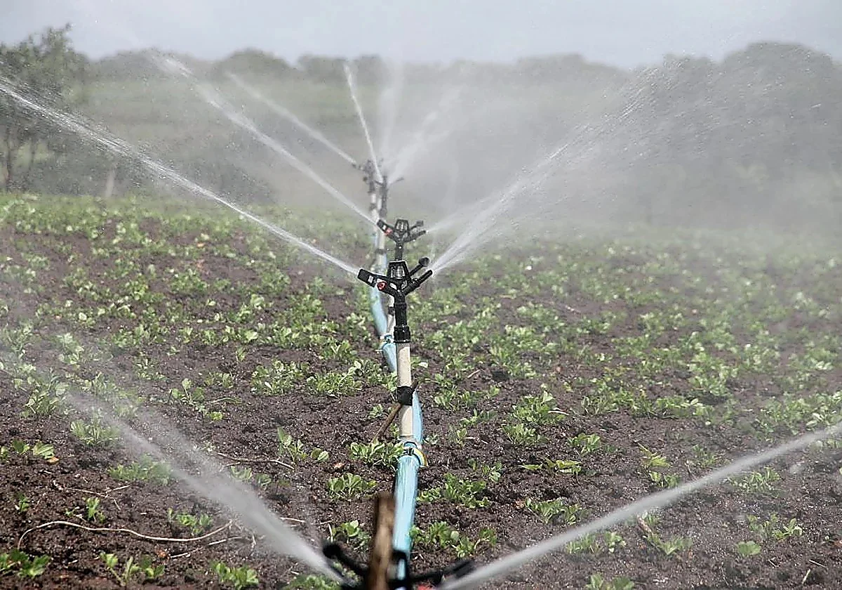 Malaga to reuse all resources from wastewater treatment plant to combat drought