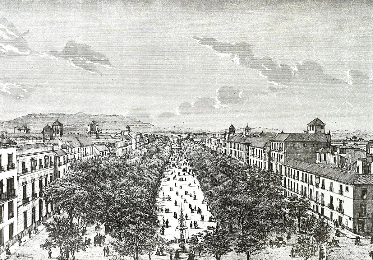 Estampas de Málaga | El legado fotográfico de Francisco Rojo