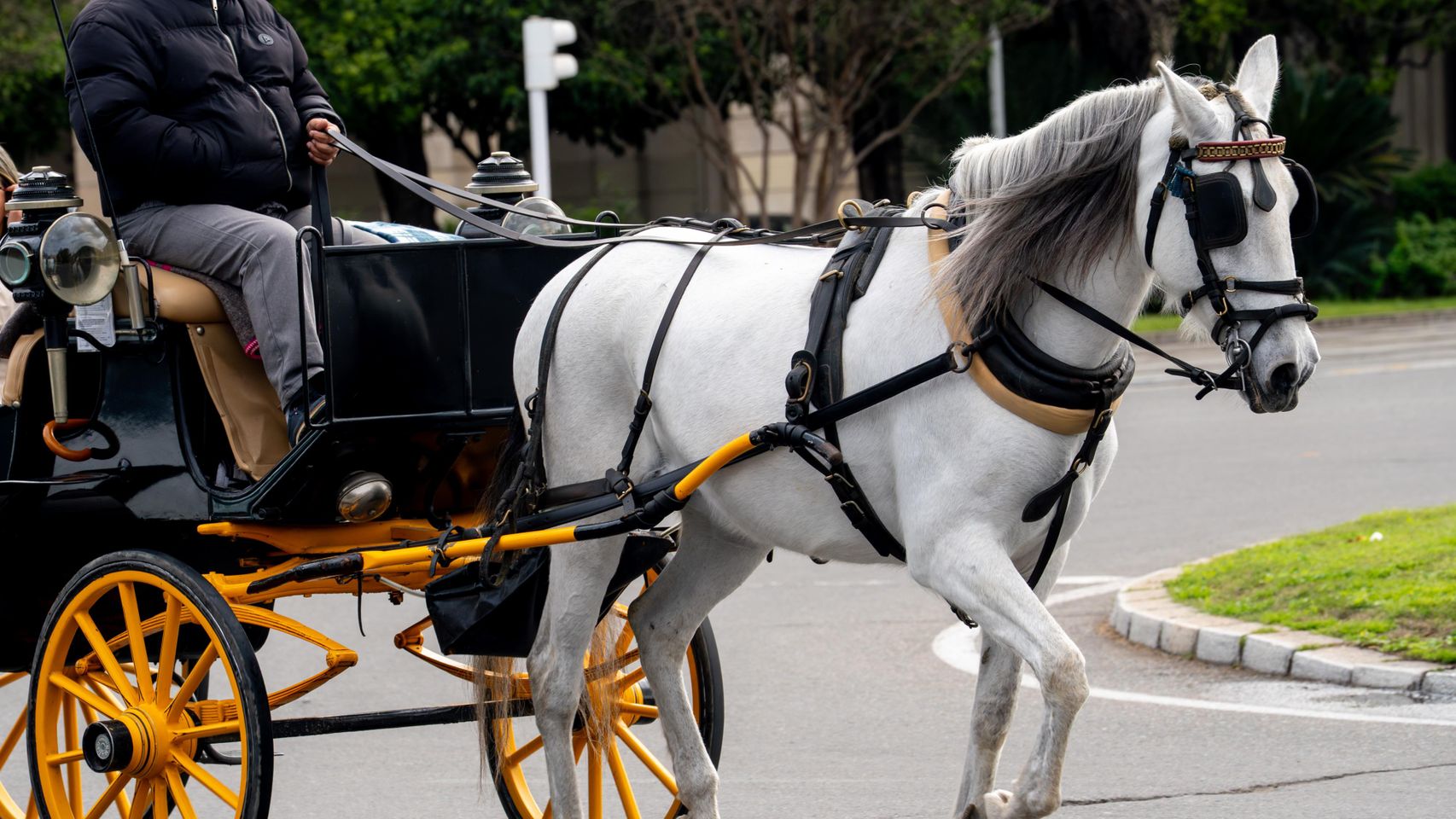 Muere un hombre de 54 años en Sevilla al ser arrollado por un caballo desbocado mientras lo cuidaba