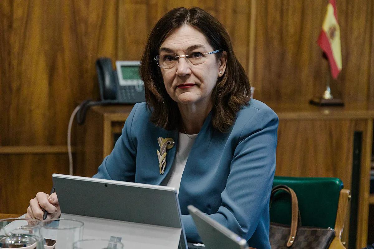 La CNMC aboca a una gran batalla judicial a Iberdrola y Endesa por los peajes de la luz