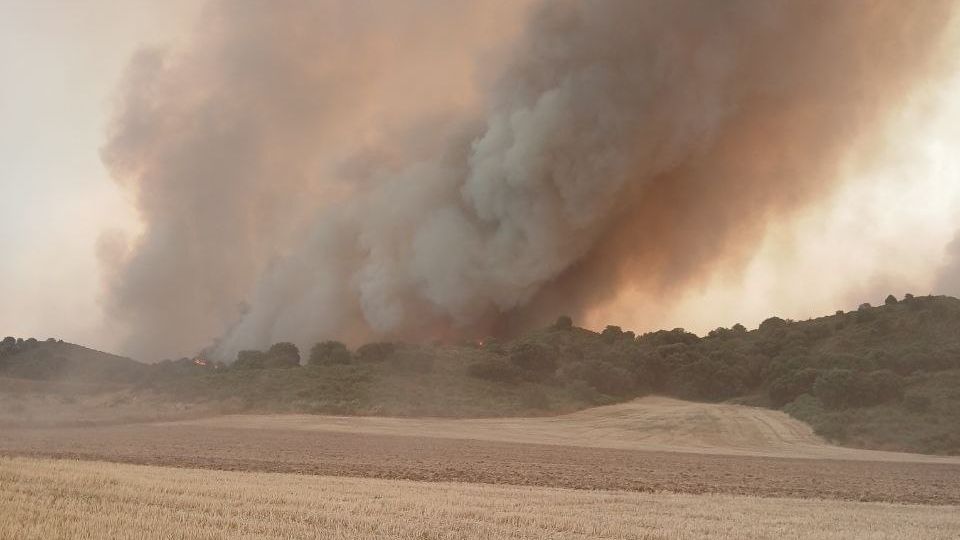 Una chispa de una máquina agrícola, posible causa del incendio que ha calcinado 1.000 hectáreas en Tamarite