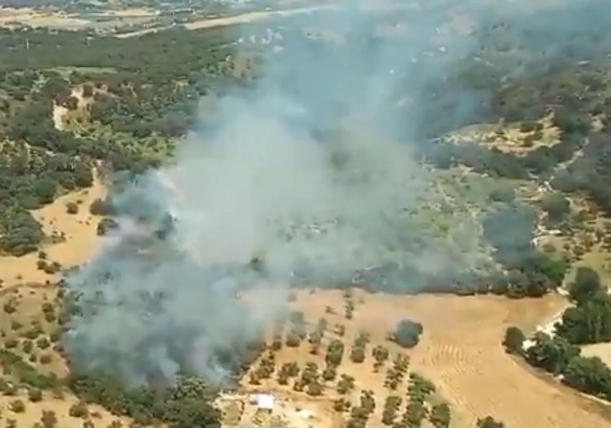 Controlado un incendio forestal registrado en Ronda