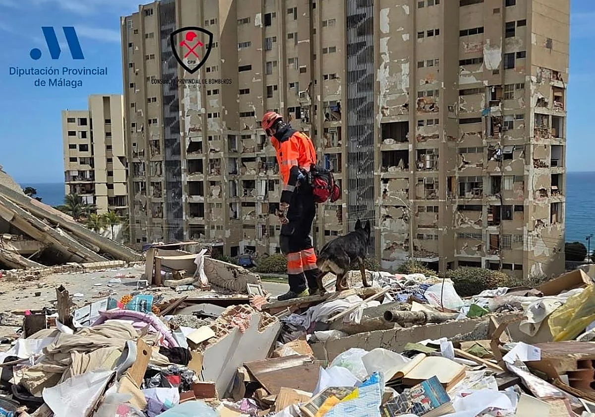 Bomberos de Málaga siguen en Caracas para localizar a supervivientes de los terremotos
