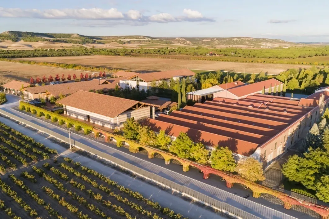 Así funciona el cotizado mercado de los 'fine wines'