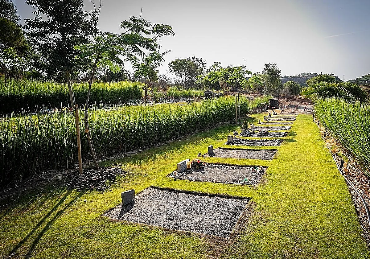 From dogs to birds and tortoises: Málaga’s pet cemetery has carried out over 700 burials