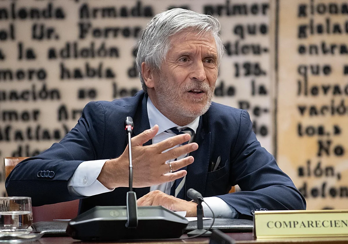 Marlaska avala en el Senado a la directora de la Guardia Civil y niega haber sabido de las 'cloacas'