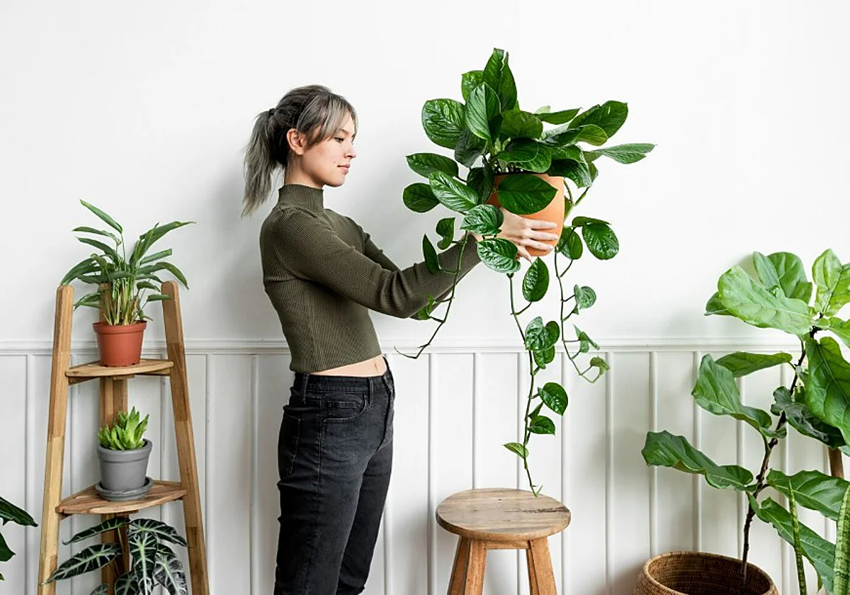 Las mejores plantas artificiales que no requieren mantenimiento y parecen de verdad
