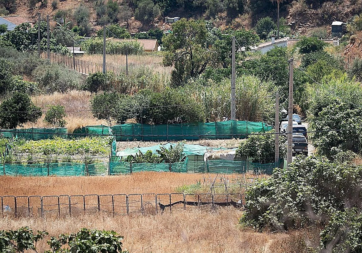 Woman found dead in well near Rincón de la Victoria