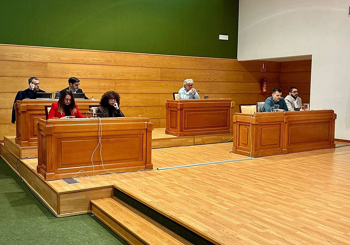 Ruptura total en el PSOE de Torremolinos: las concejalas piden alejarse de Antonio Navarro en el pleno