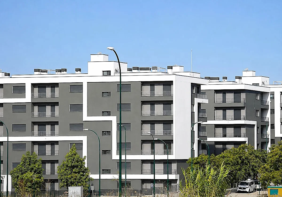Malaga city about to launch two offers of 377 rental social housing units west of the university campus