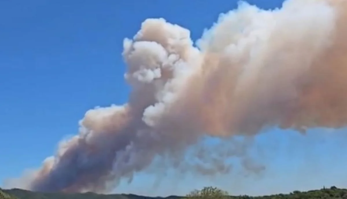 Confinados cuatro municipios por un incendio forestal en la provincia de Barcelona