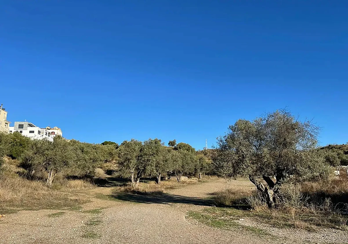 Ya hay fecha para inaugurar el parque Periurbano del Mediterráneo en Rincón de la Victoria