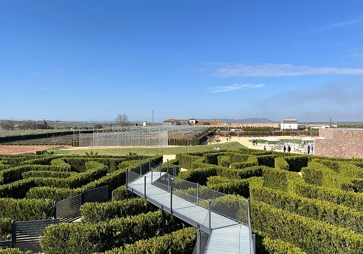 El laberinto vegetal de Humilladero recibe la Estrella de Oro de Andalucía