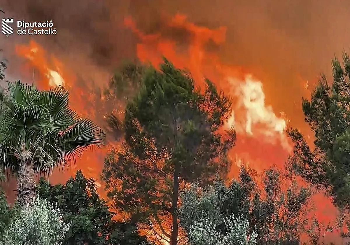Un incendio forestal en Castellón moviliza diez medios aéreos y obliga a cerrar el puerto de Sagunto y a desalojar Azuébar