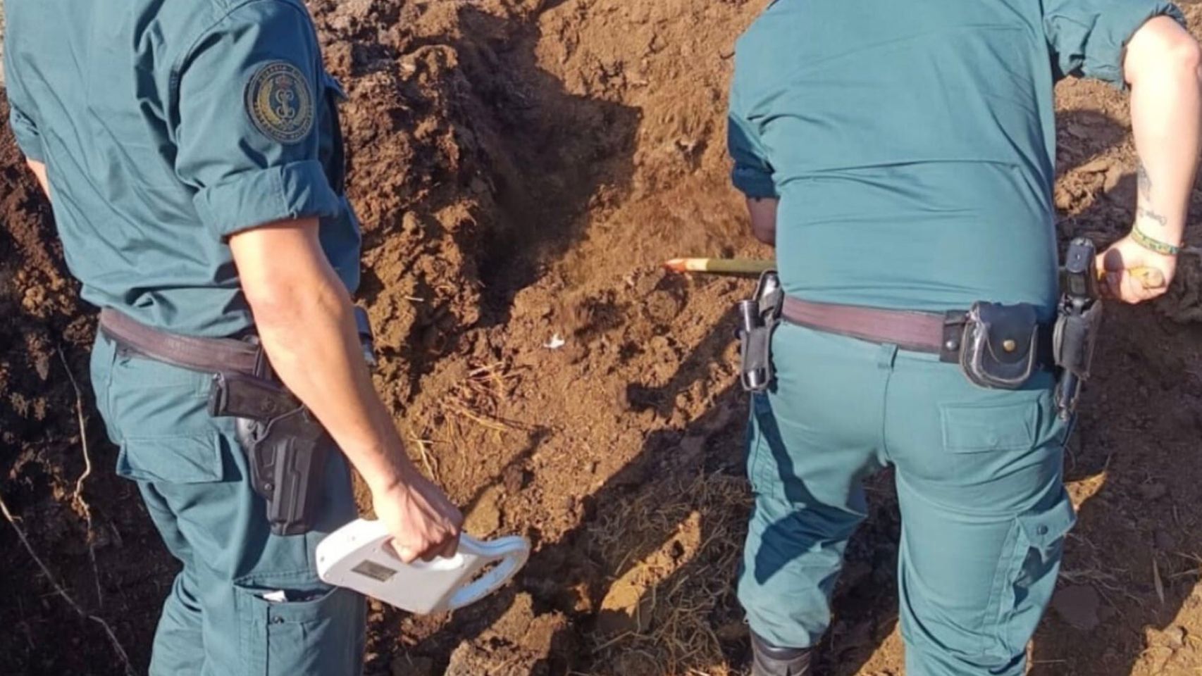 Detenido un hombre en la comarca toledana de La Sagra por matar a cinco perros a disparos