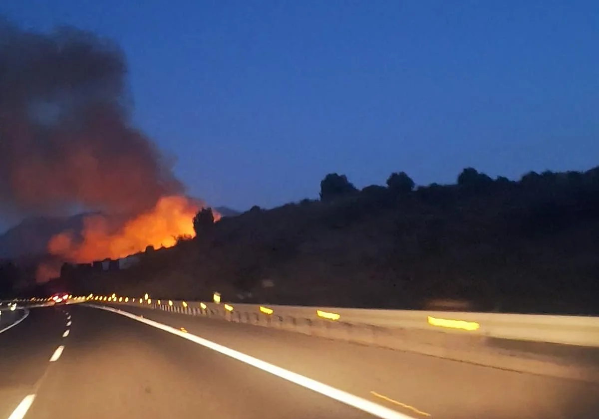 Aparatoso incendio forestal en Marbella a 200 metros de la AP-7
