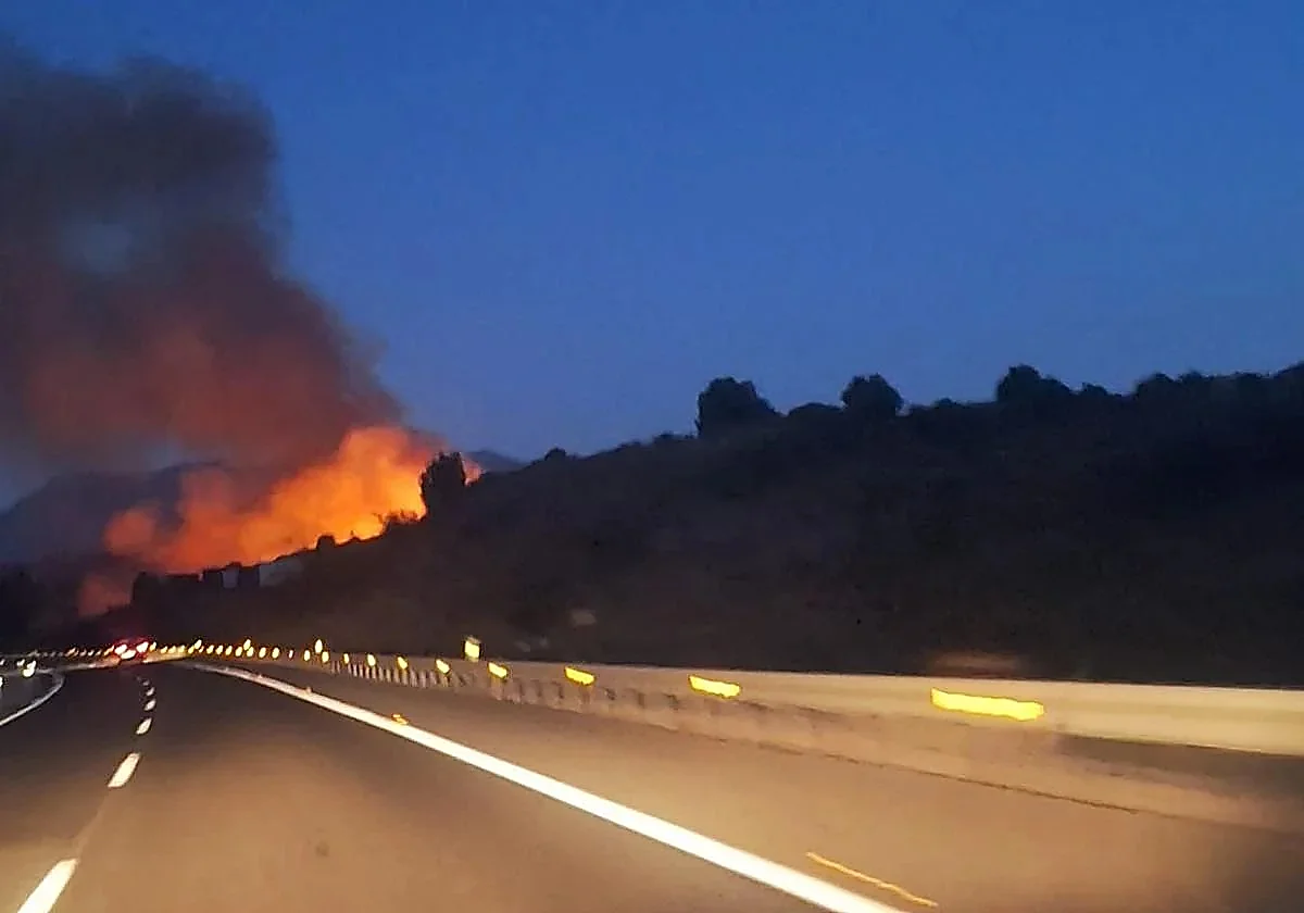 Marbella forest on fire just 200 metres from AP-7 motorway