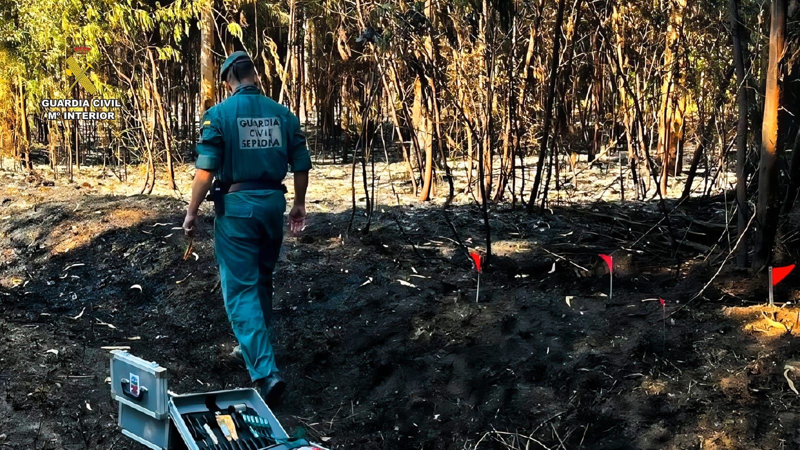 Prisión provisional para un vecino de Ordes (A Coruña) acusado de provocar varios incendios forestales