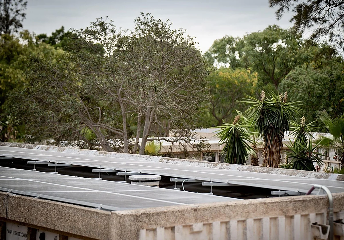 Parcemasa quiere incinerar con conciencia ambiental: llega el proyecto ECOCREM