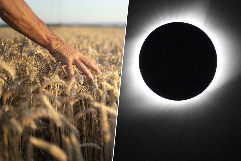 El eclipse solar de agosto va a llenar el campo español de turistas: esto es lo que piden los ingenieros agrícolas antes de que llegues