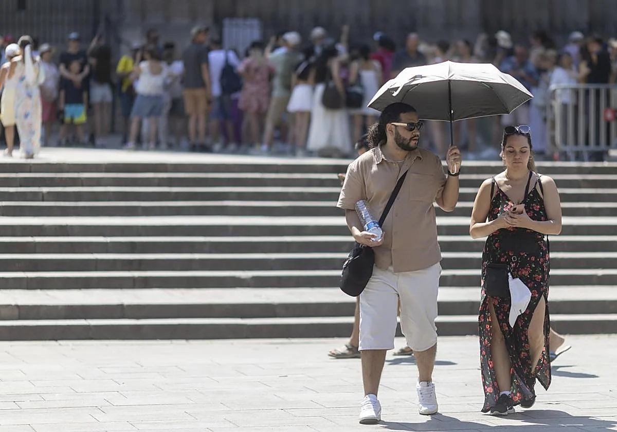 Los «trenes de olas de calor»: la nueva realidad meteorológica en España y en Europa