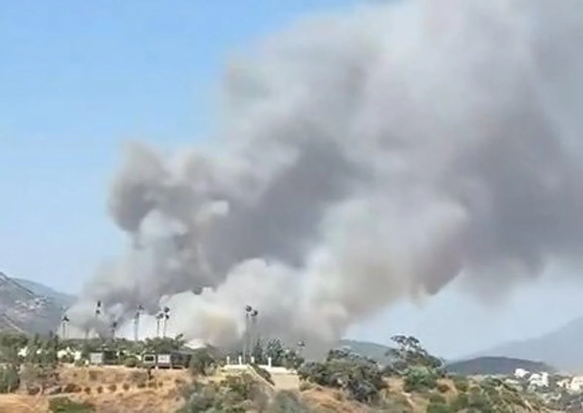 Cortan la AP-7 y desalojan viviendas por un incendio forestal declarado en Estepona