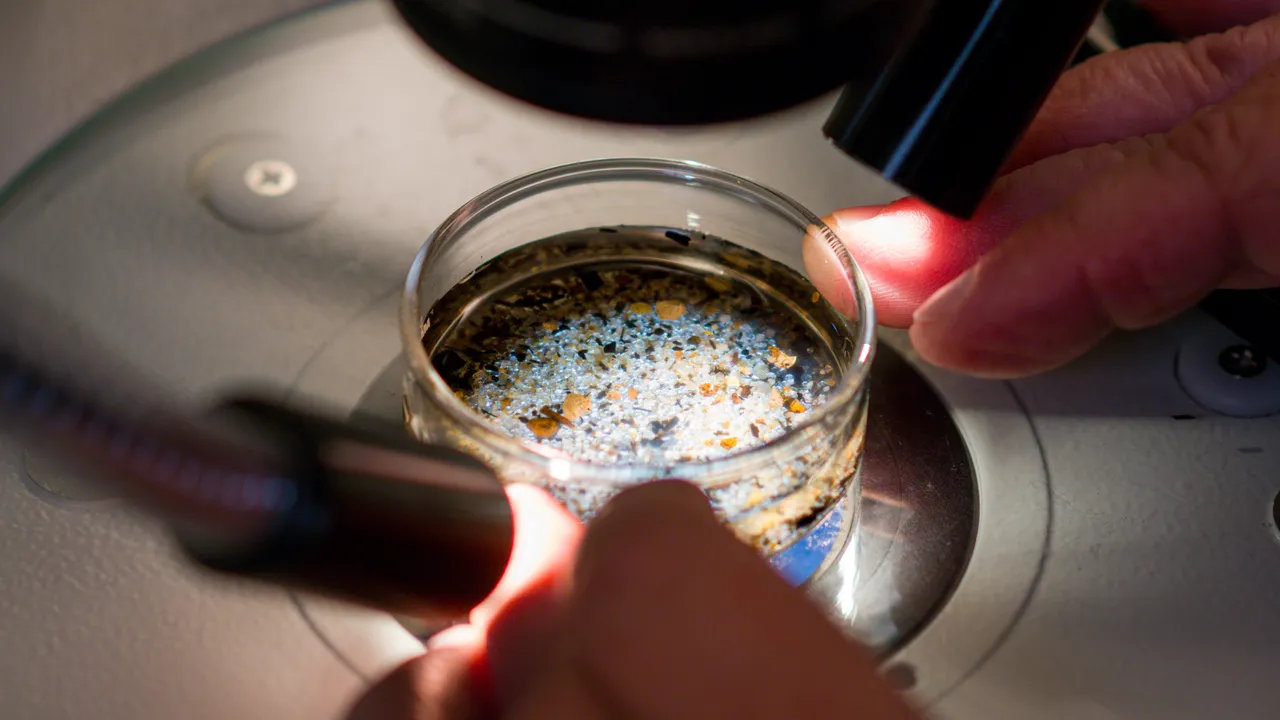 Encuentran microplásticos en muestras de hace 200 años, antes de que el plástico moderno existiera. ¿Cómo es eso posible?