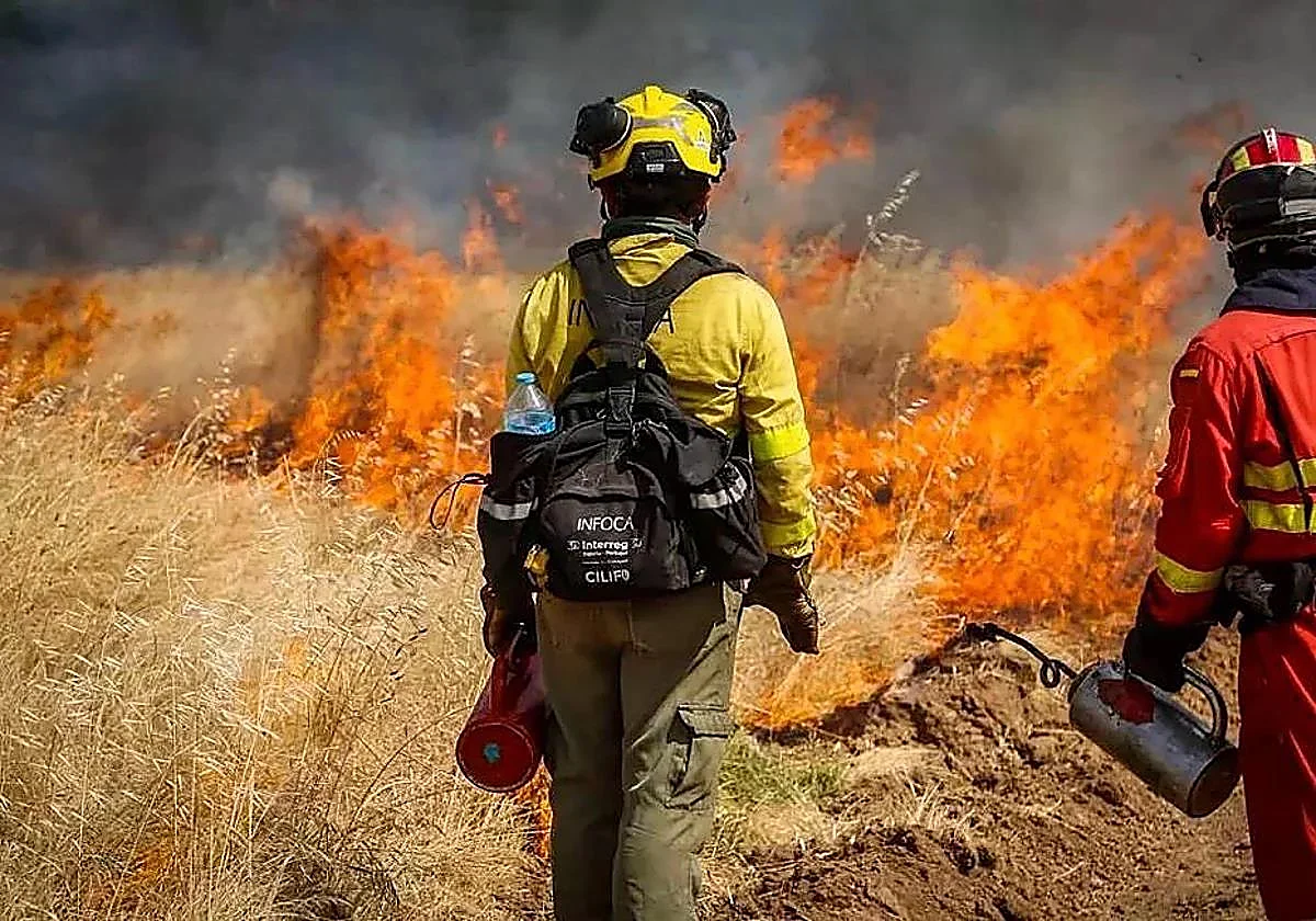 El Segundo Batallón de la UME se despliega en Almería como punta de lanza contra el avance de las llamas
