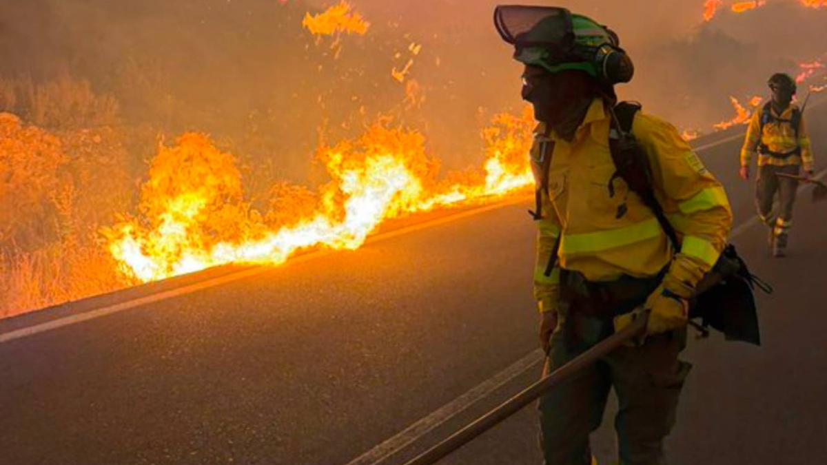Al menos 11 personas muertas y 19 no localizadas en el incendio forestal de Los Gallardos, en Almería
