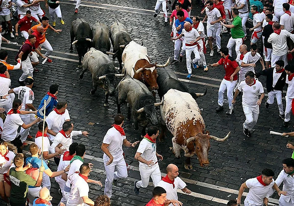 Pamplona recibe a los imponentes toros de José Escolar