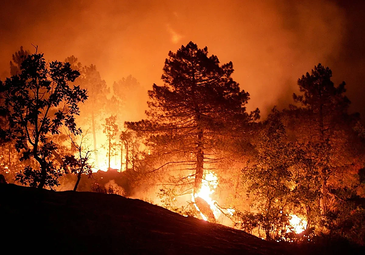 Almeria wildfire is now the third deadliest in Spanish history
