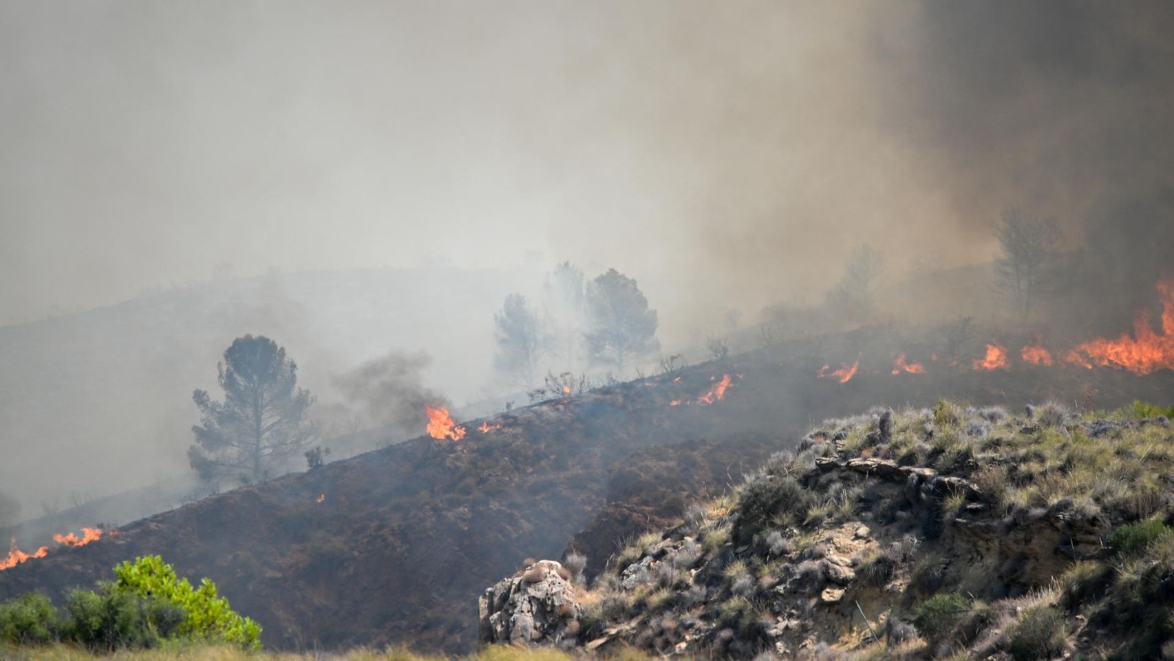 Calor extremo, baja humedad y fuertes vientos: 'la regla del 30-30-30' que ha propulsado el fuego en Los Gallardos