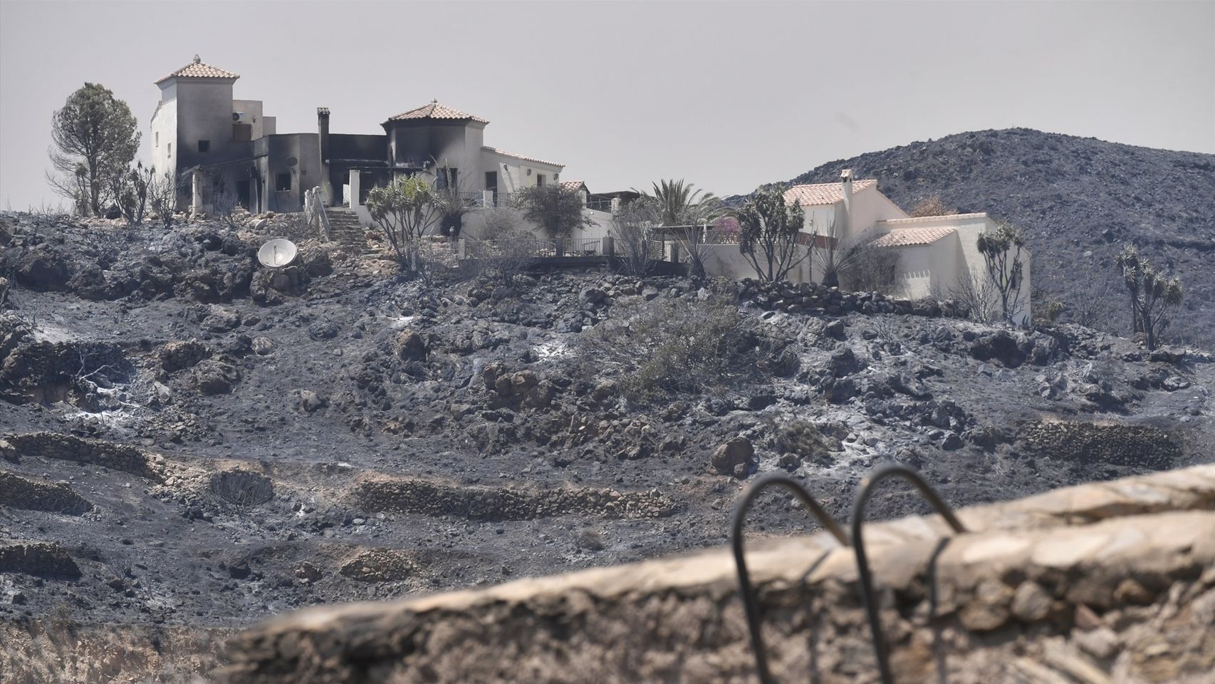 Siete horas sin viento, la esperanza de frenar el fuego de Los Gallardos: 12 muertos y al menos siete desaparecidos