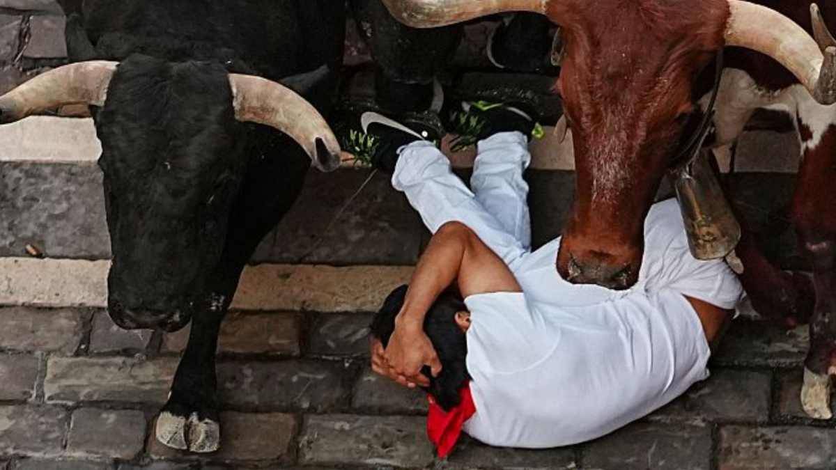 Quinto encierro de San Fermín: ¡numeroso parte de incidencias con los toros de José Escolar!