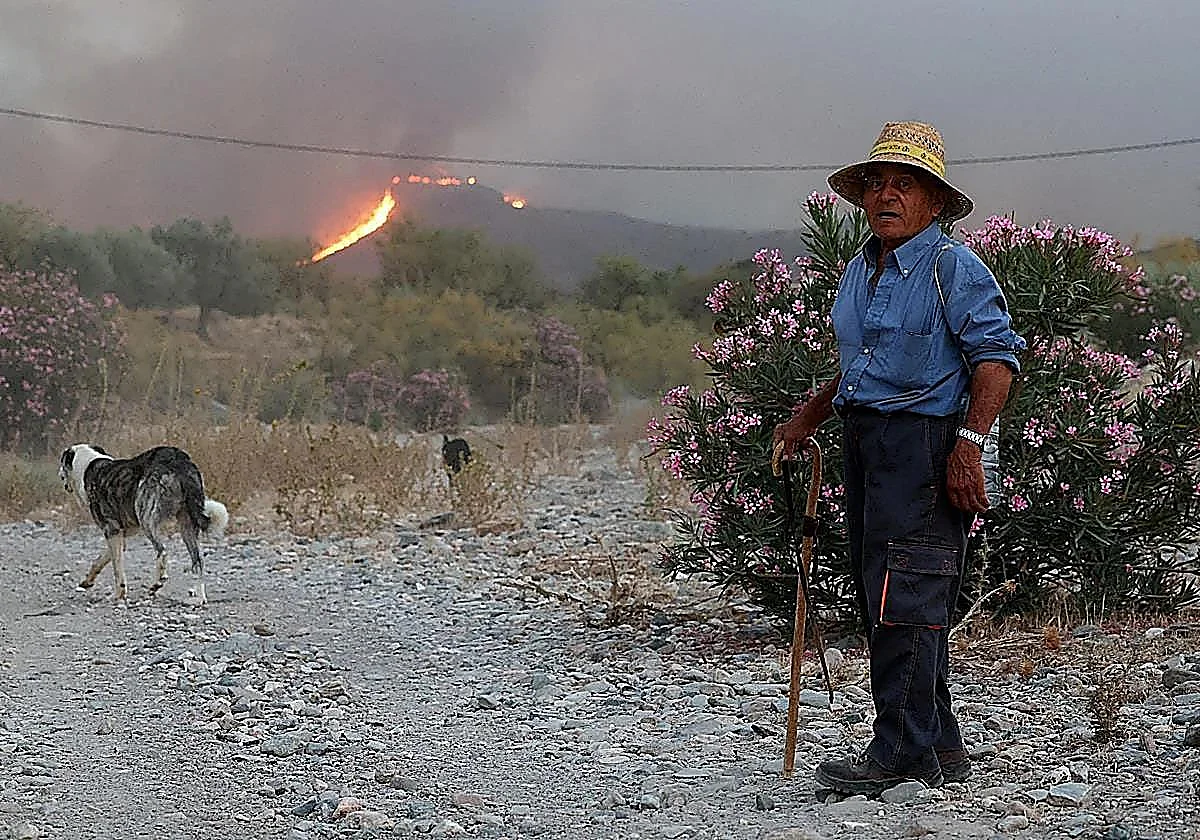 Almeria wakes up to a glimmer of hope in Los Gallardos as aerial firefighting resources return to battle the blaze
