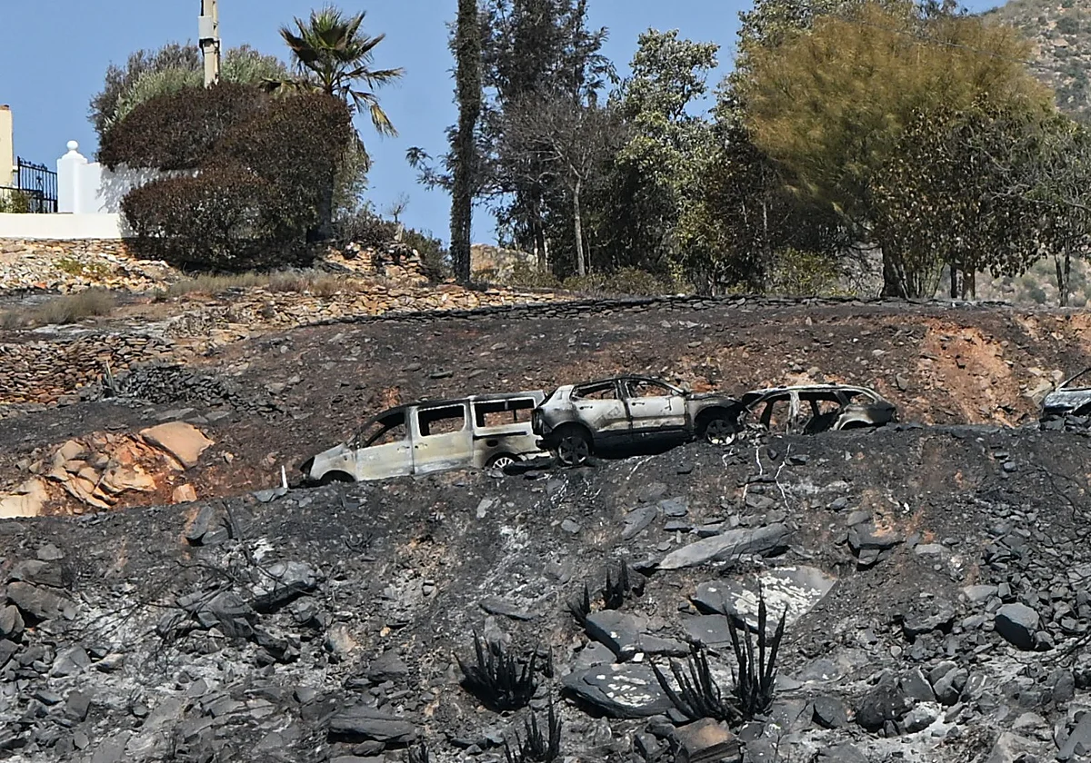 «Pensabas que el fuego estaba a kilómetros de distancia y, de repente, lo tenías delante»