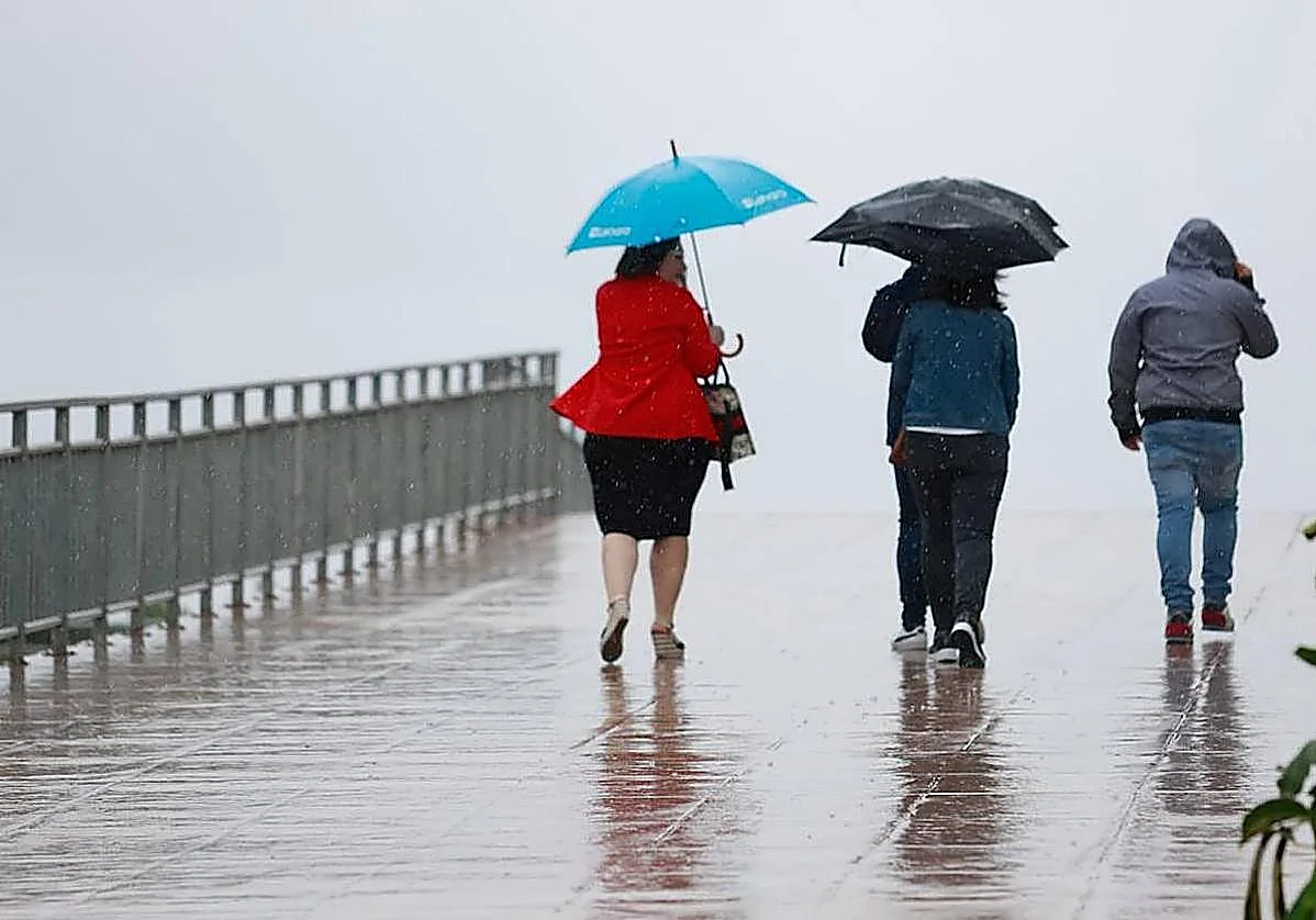 La lluvia deja acumulados de más de 14 litros en zonas de la costa oriental de Málaga