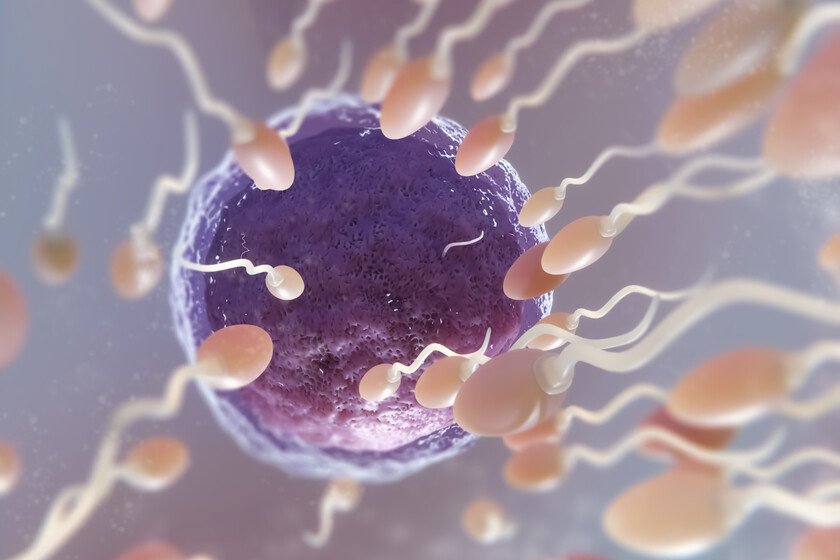El esperma también envejece: los hombres mayores de 45 años tienen un 31% más de mutaciones genéticas que los menores de 30