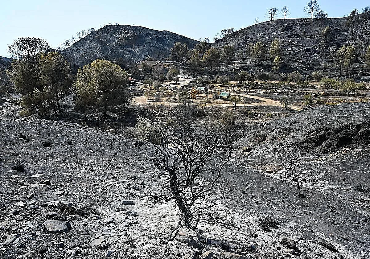 El incendio de Los Gallardos da un respiro para conseguir su estabilización en las próximas horas