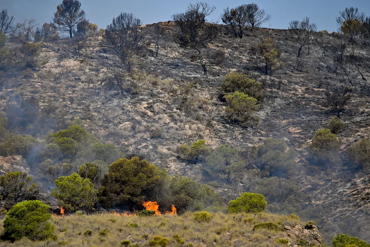 El incendio de Los Gallardos podría estabilizarse hoy