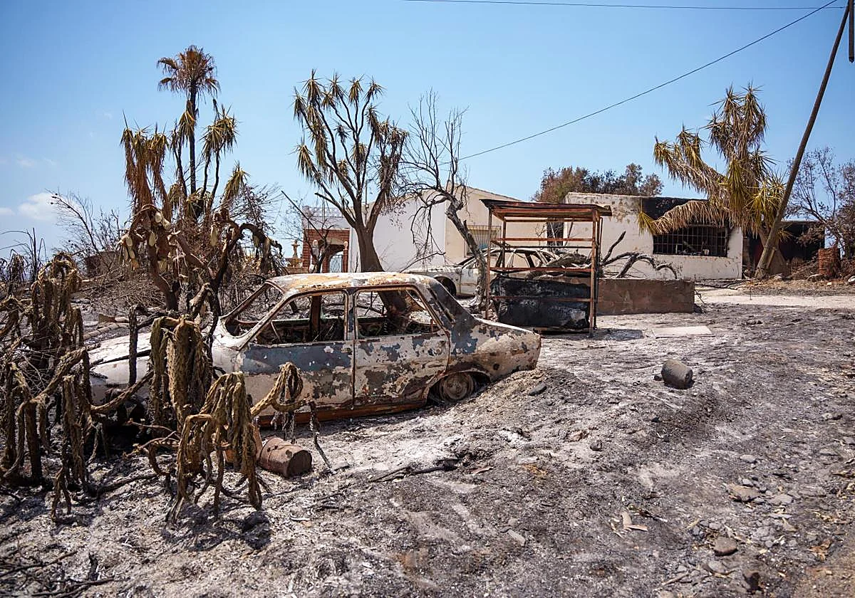 Se suspenden las batidas en Los Gallardos sin encontrar más víctimas en las zonas incendiadas