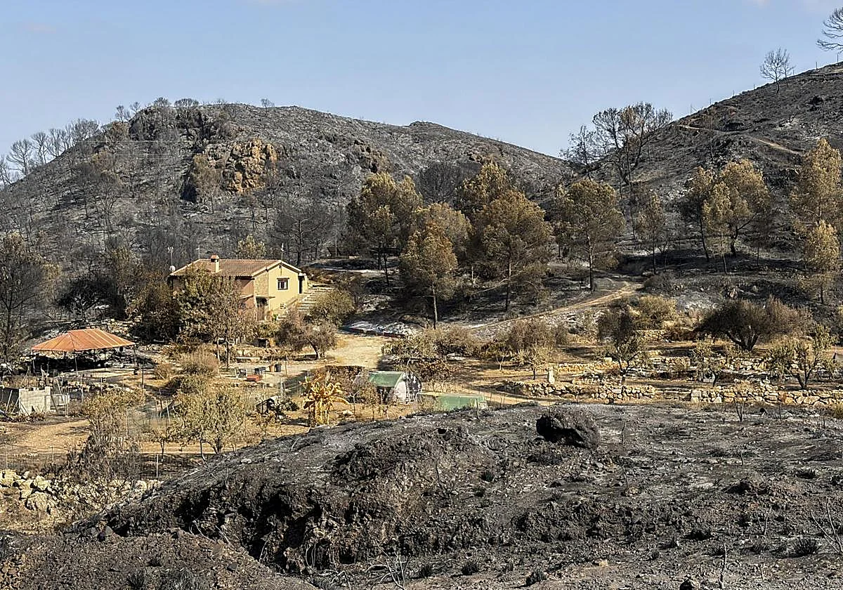 Search operations in Los Gallardos suspended after no further victims found in the areas affected by fire